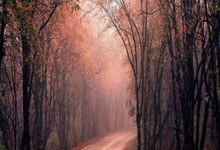 赵丽丽：在研究的基础上稳妥创业